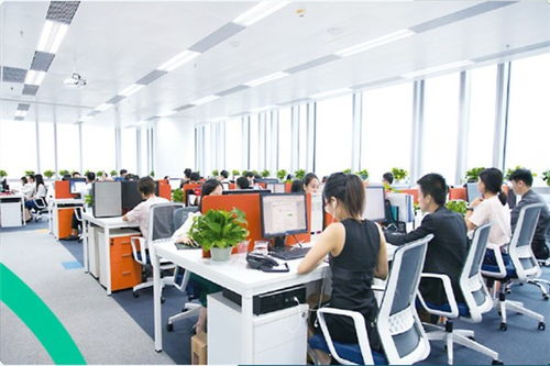 青島進口香蕉干運輸與貿易指南 外貿入門與國內代理全解析